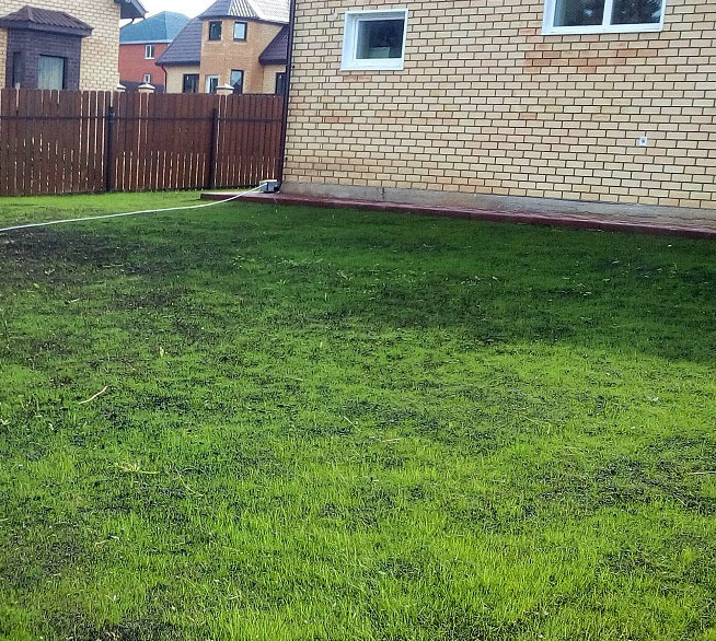 Зарастание газоном участка