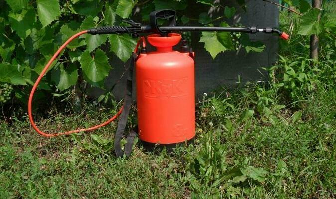 Опрыскиватель ЖУК дачный