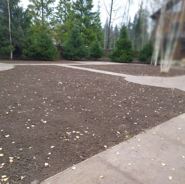 Очистка территории от мусора и уборка