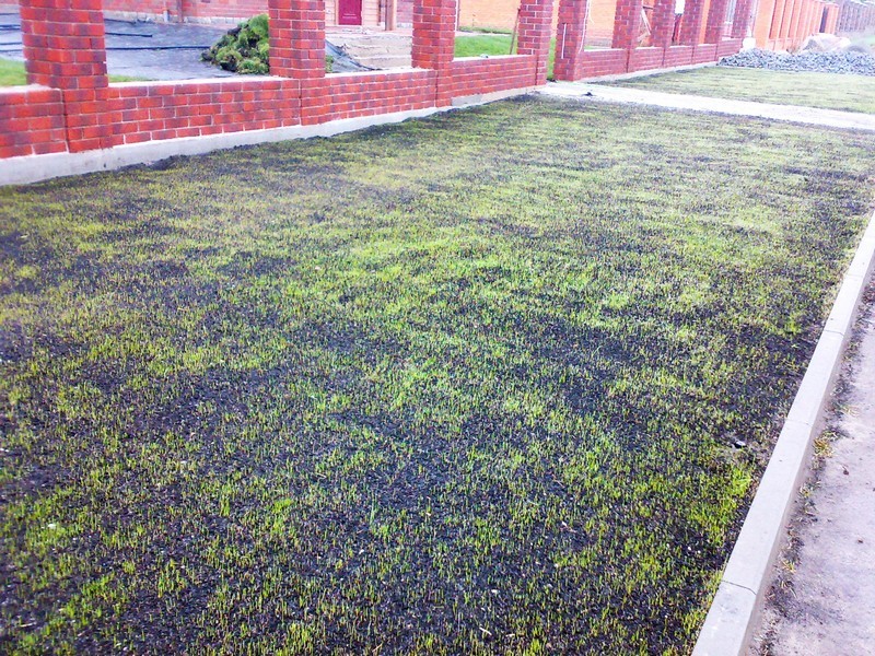 Устройство газонов